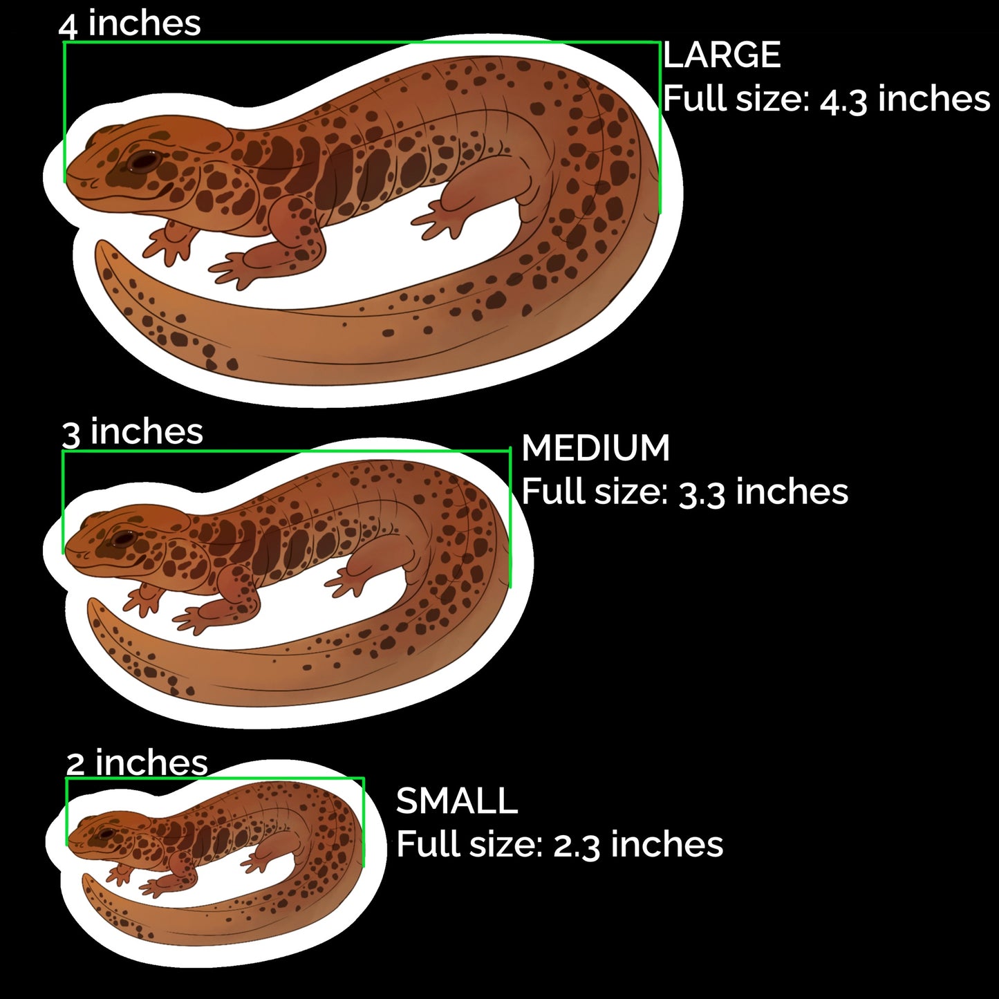 Northern Dusky Salamander Glossy Sticker