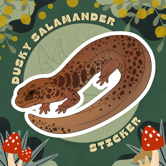 Northern Dusky Salamander Glossy Sticker