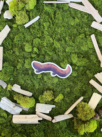 Eastern Hellbender Glossy Sticker