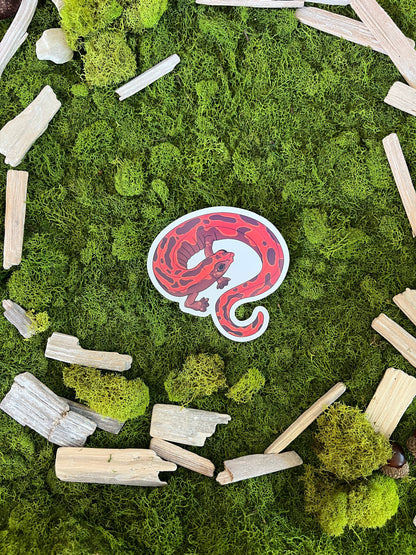 Mexican Climbing Salamander Glossy Sticker