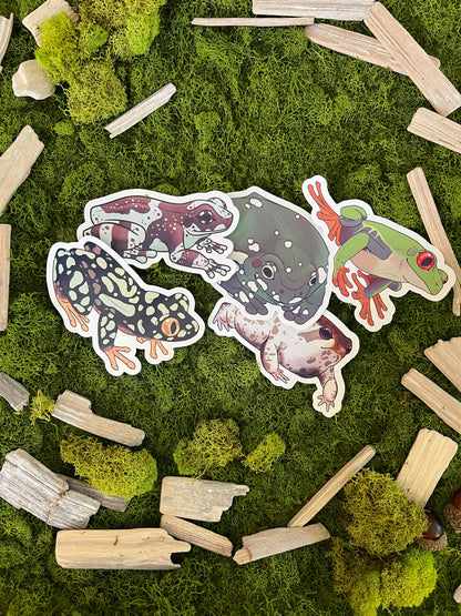 Amazon Milk Frog Glossy Sticker