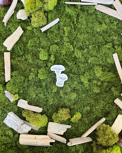 Destroying Angel Mushroom Glossy Sticker