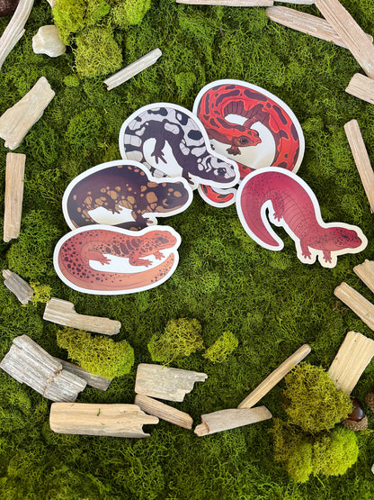 Eastern Tiger Salamander Glossy Sticker