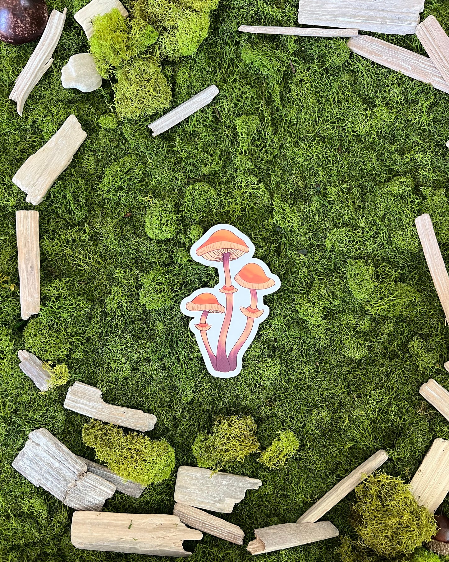 Autumn Skullcap Mushroom Glossy Sticker