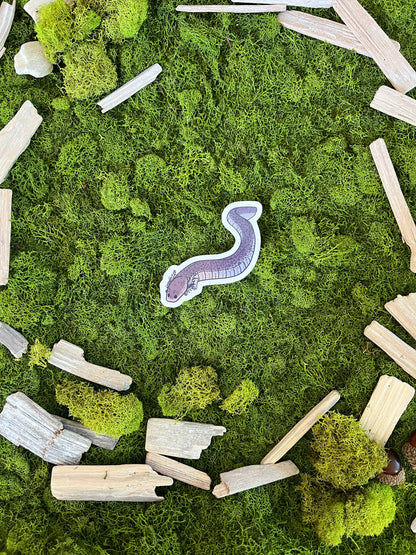 Lesser Siren Glossy Sticker