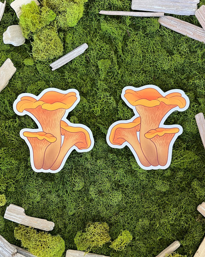 Chanterelle Mushroom Glossy Sticker
