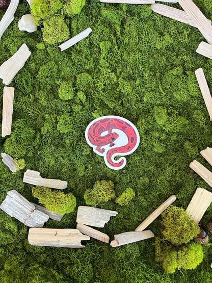 Mexican Climbing Salamander Glossy Sticker