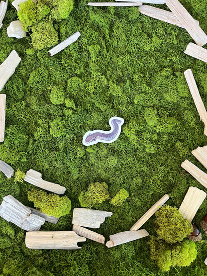 Lesser Siren Glossy Sticker