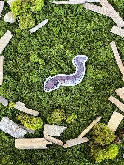 Lesser Siren Glossy Sticker