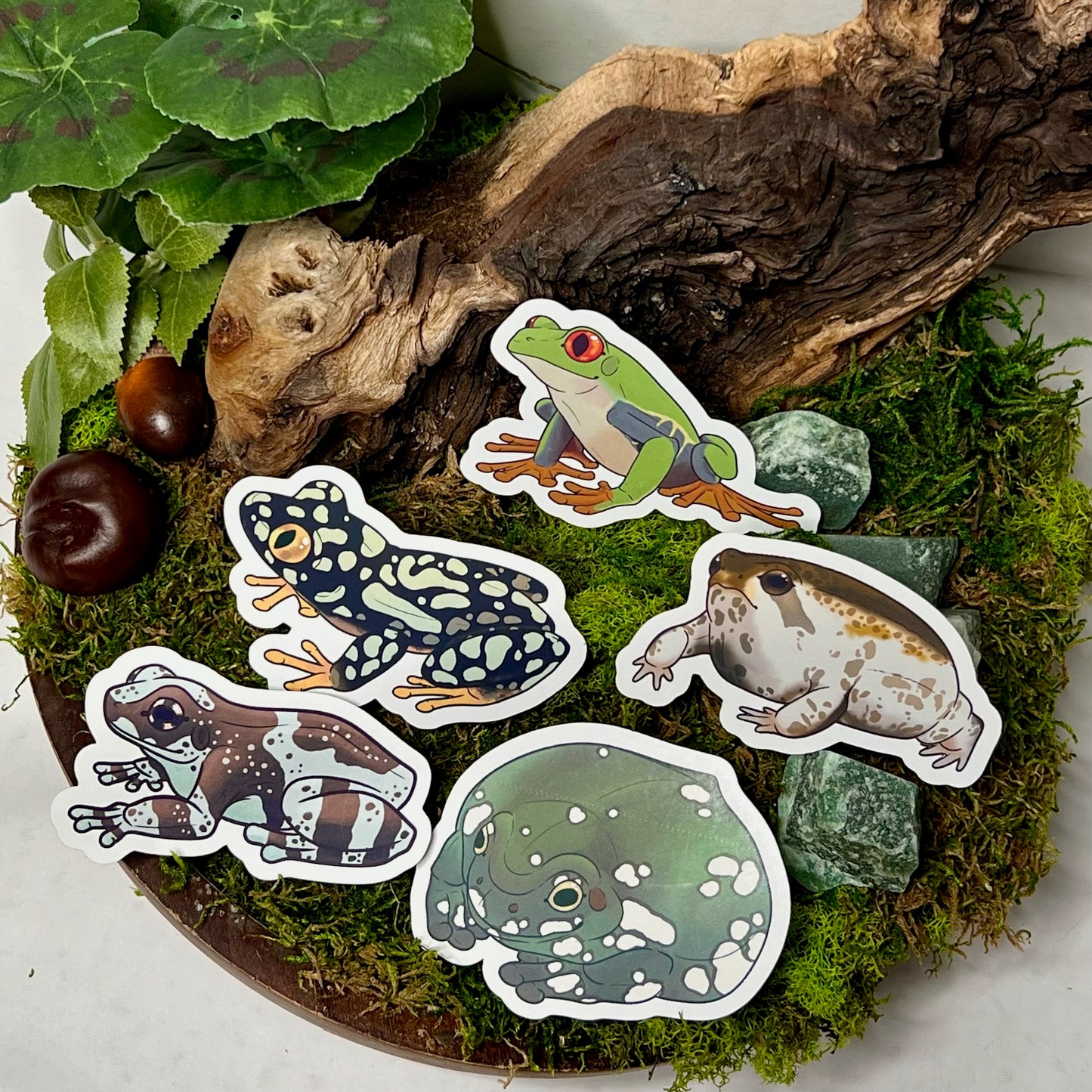 Starry Night Frog Glossy Sticker