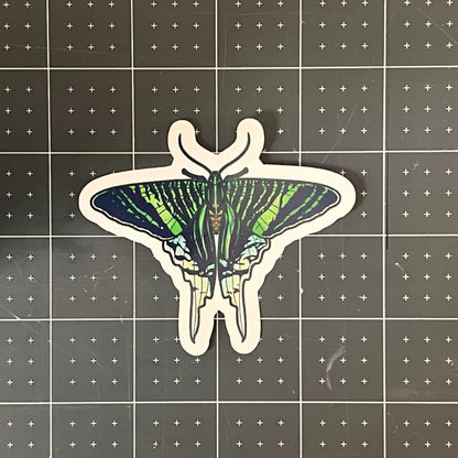 Green Page Moth Glossy Sticker