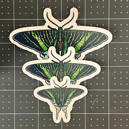 Green Page Moth Glossy Sticker
