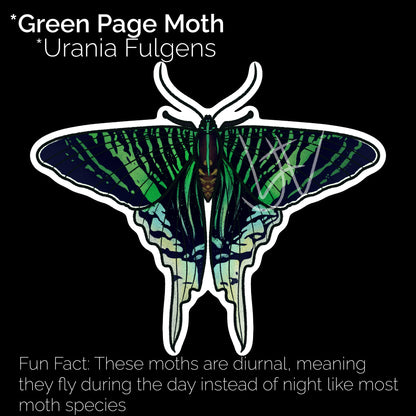 Green Page Moth Glossy Sticker