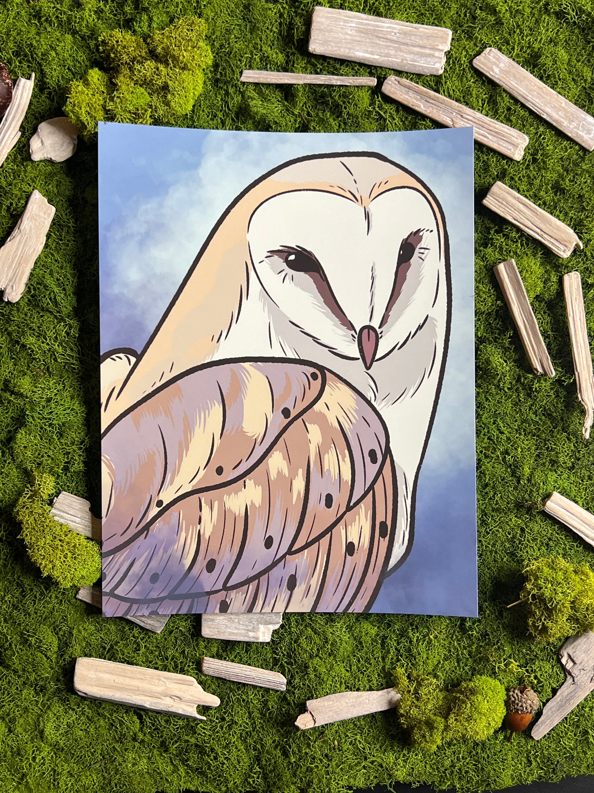 Barn Owl 8.5x11in Print – Lillian Lillium