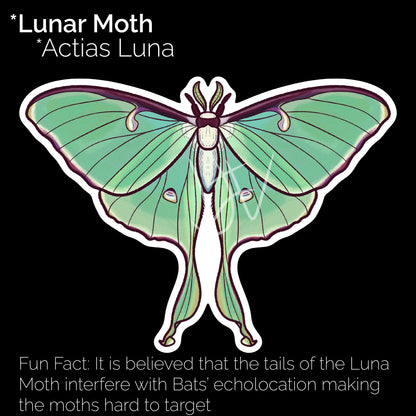 Lunar Moth Glossy Sticker