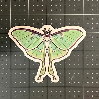 Lunar Moth Glossy Sticker