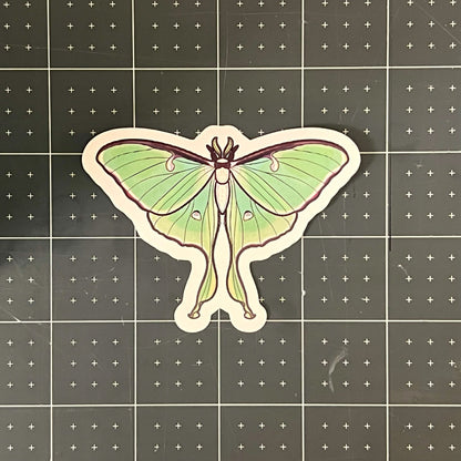 Lunar Moth Glossy Sticker