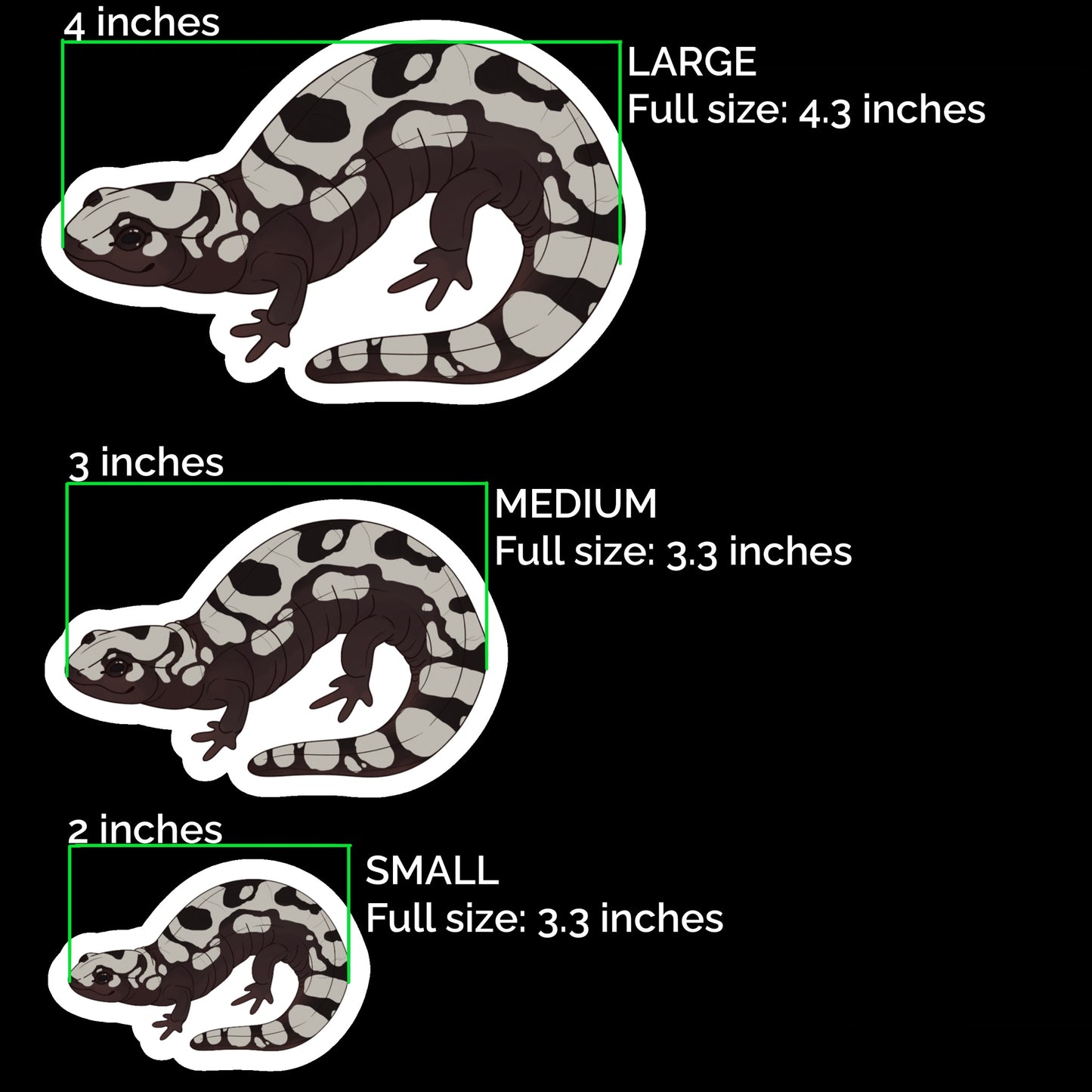 Marbled Salamander Glossy Sticker