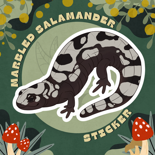 Marbled Salamander Glossy Sticker