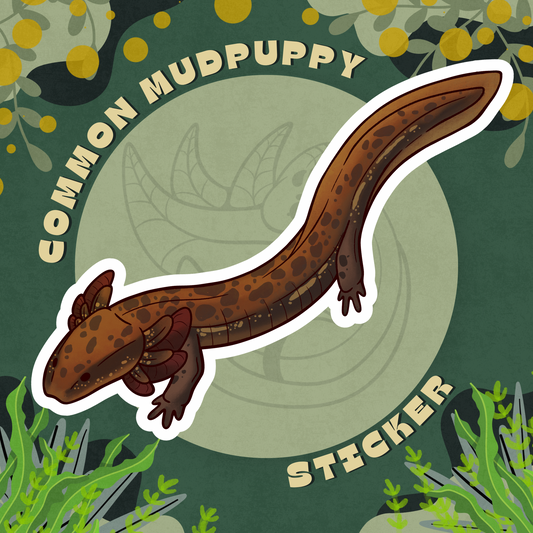 Common Mudpuppy Glossy Sticker