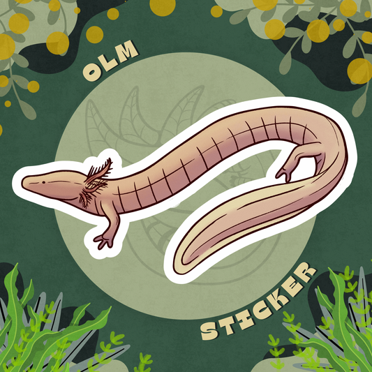 Olm Glossy Sticker