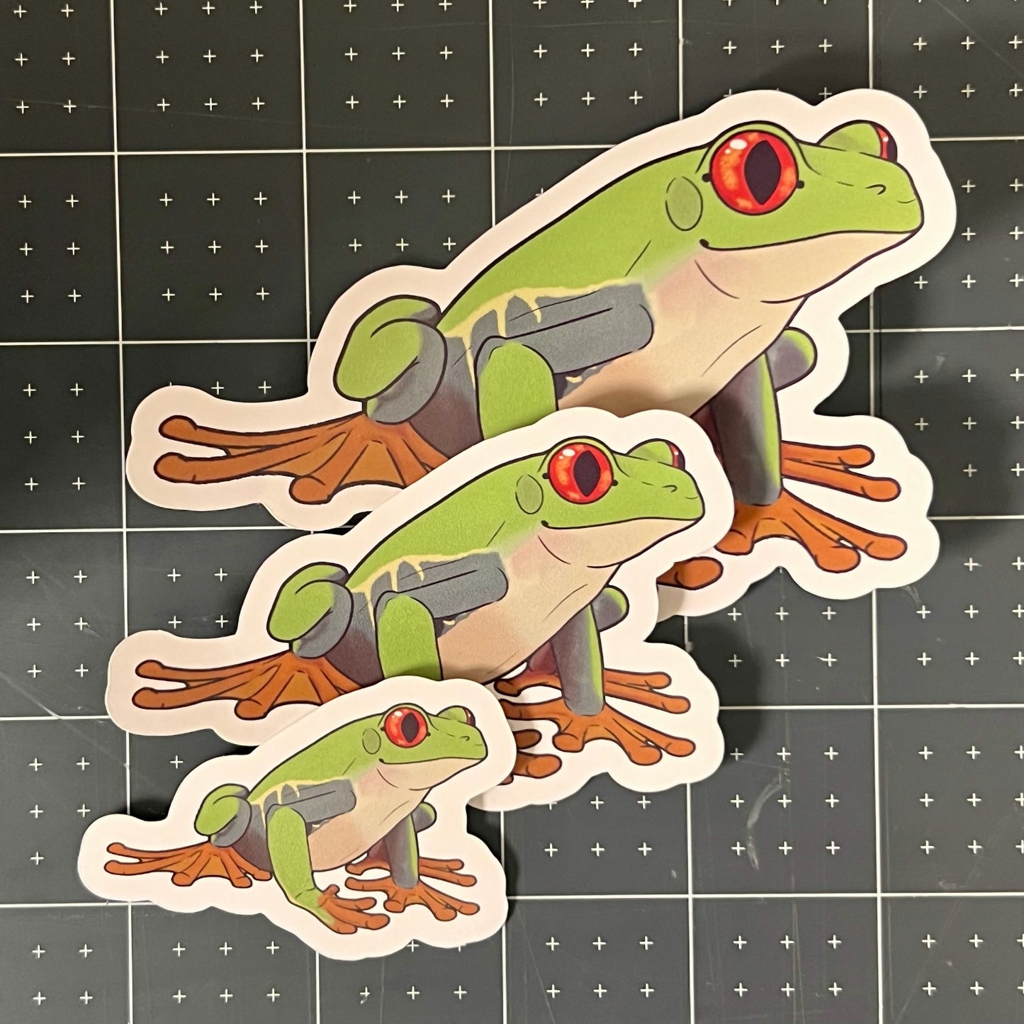 Red-Eyed Tree Frog Glossy Sticker