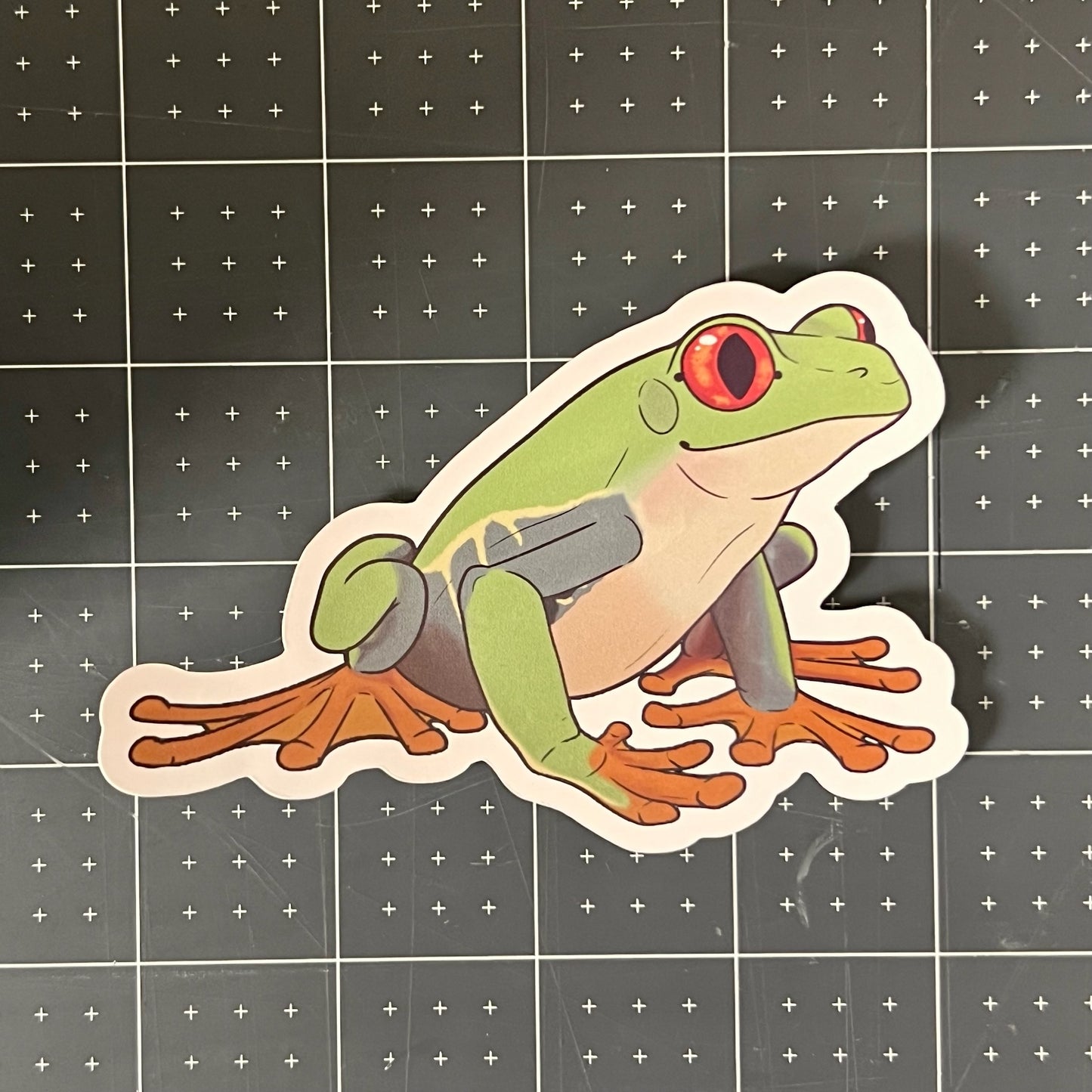 Red-Eyed Tree Frog Glossy Sticker