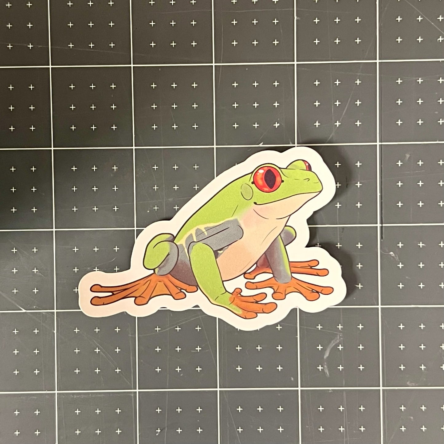 Red-Eyed Tree Frog Glossy Sticker