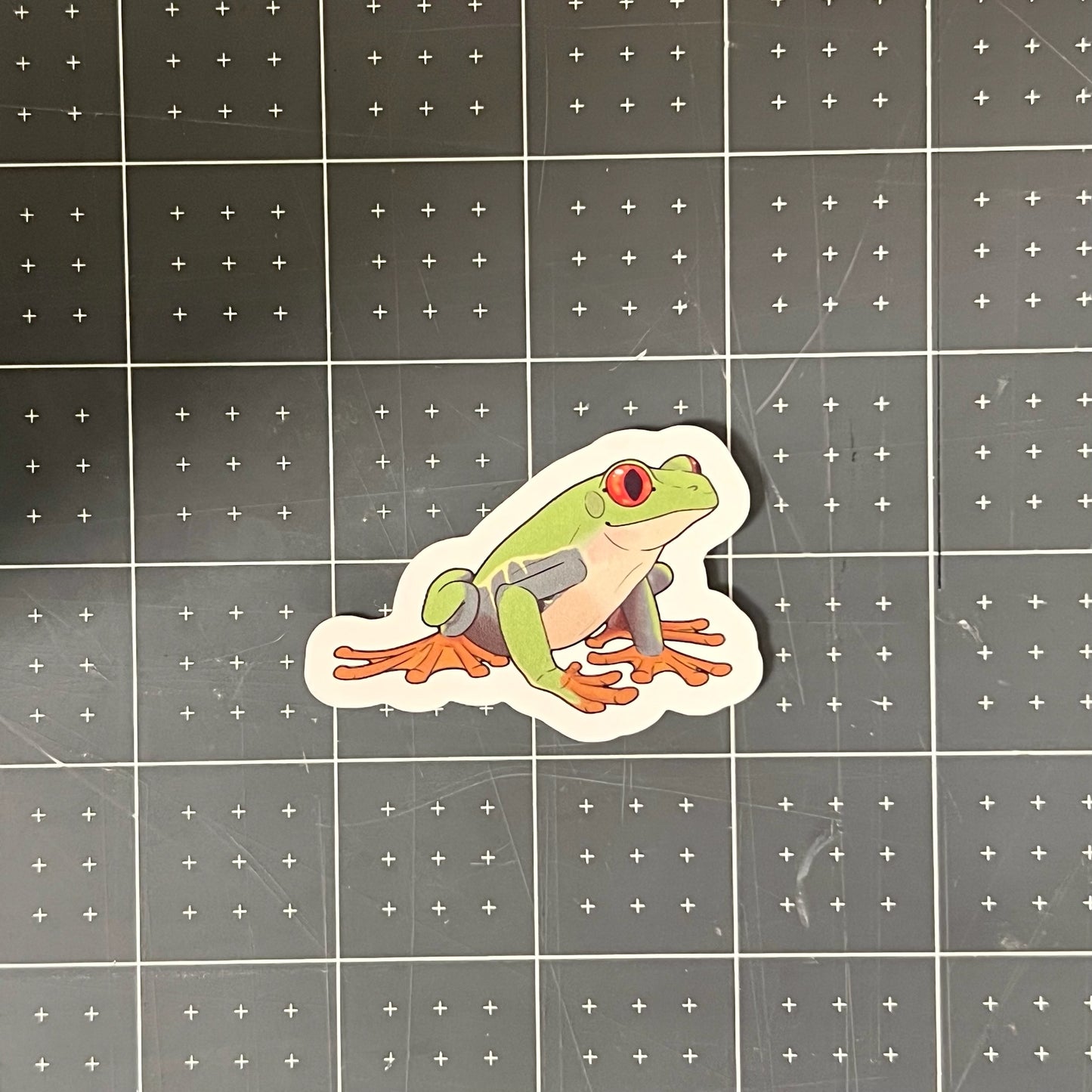 Red-Eyed Tree Frog Glossy Sticker