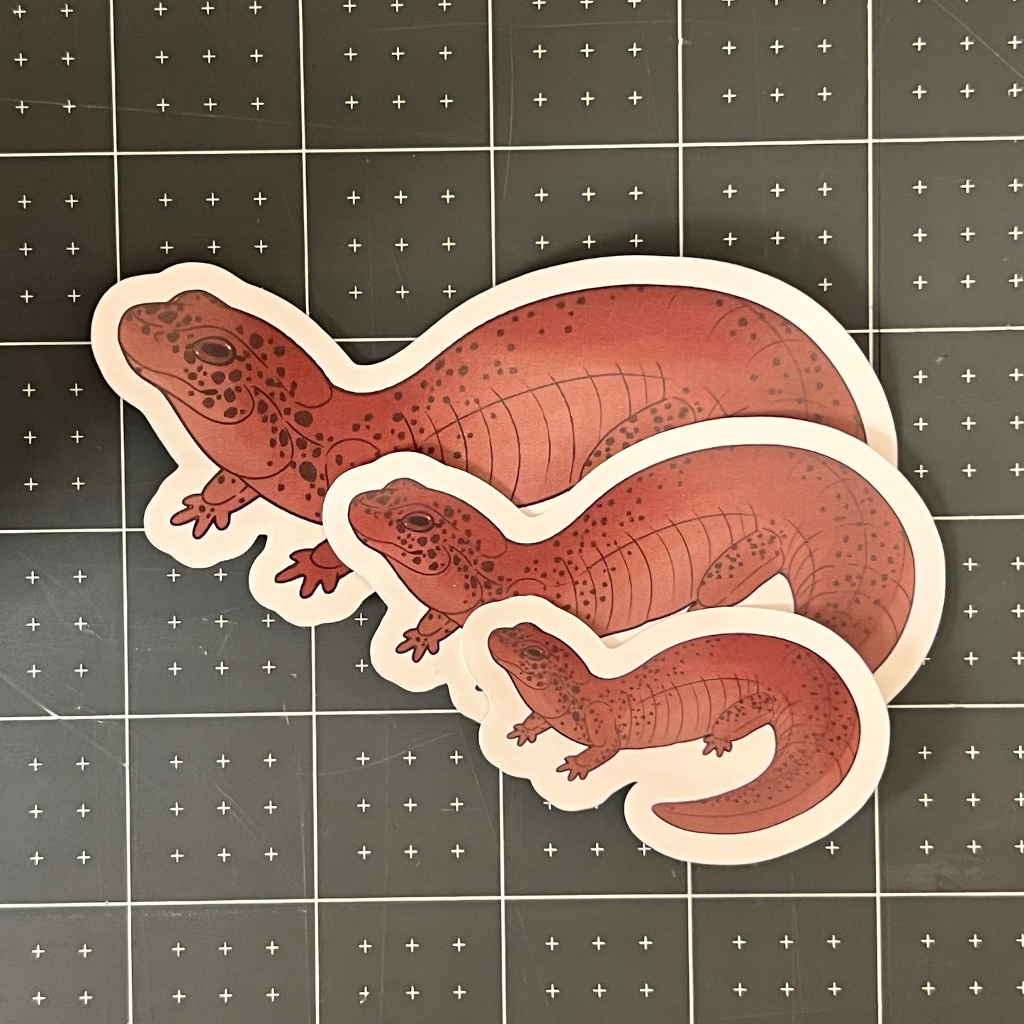 Red Salamander Glossy Sticker