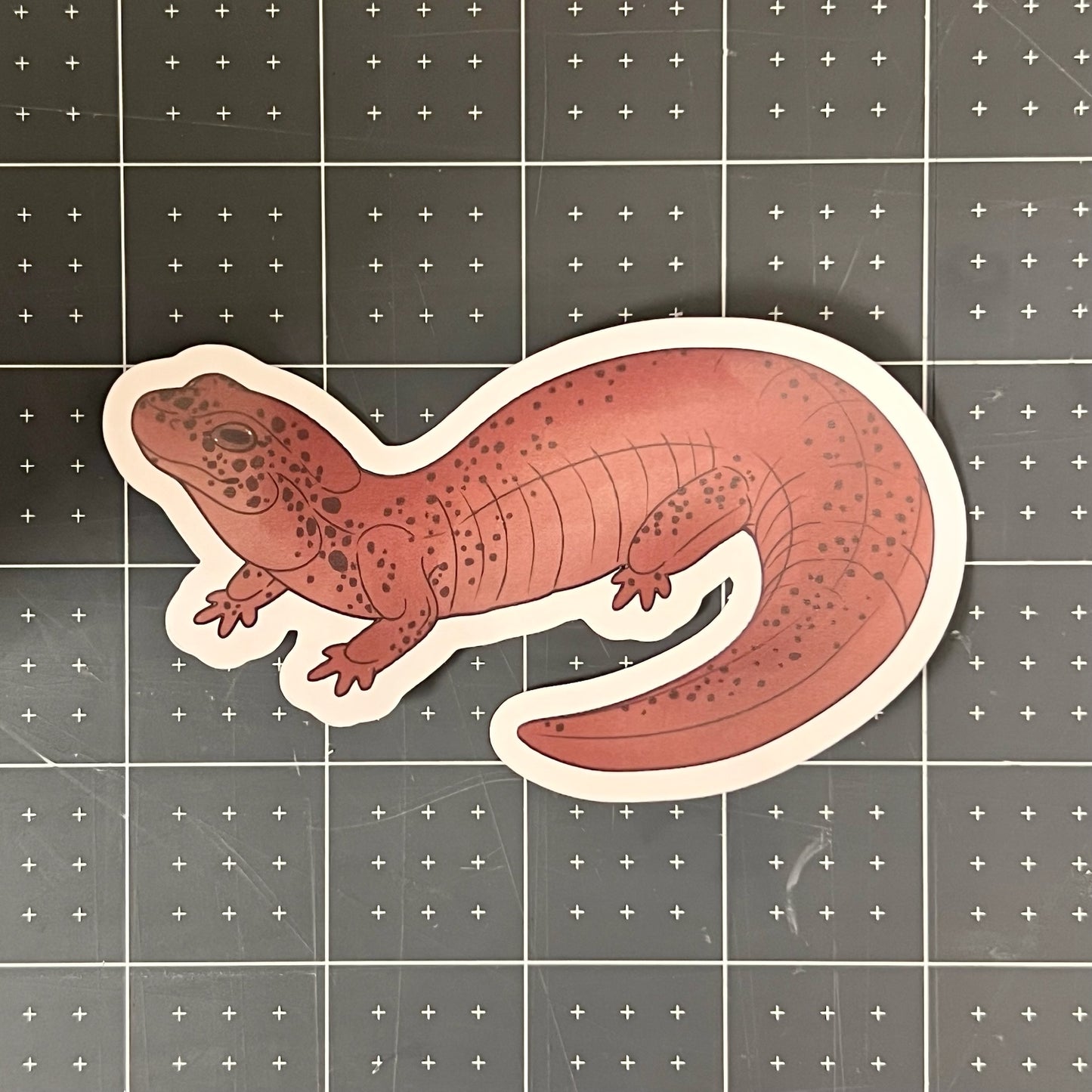 Red Salamander Glossy Sticker