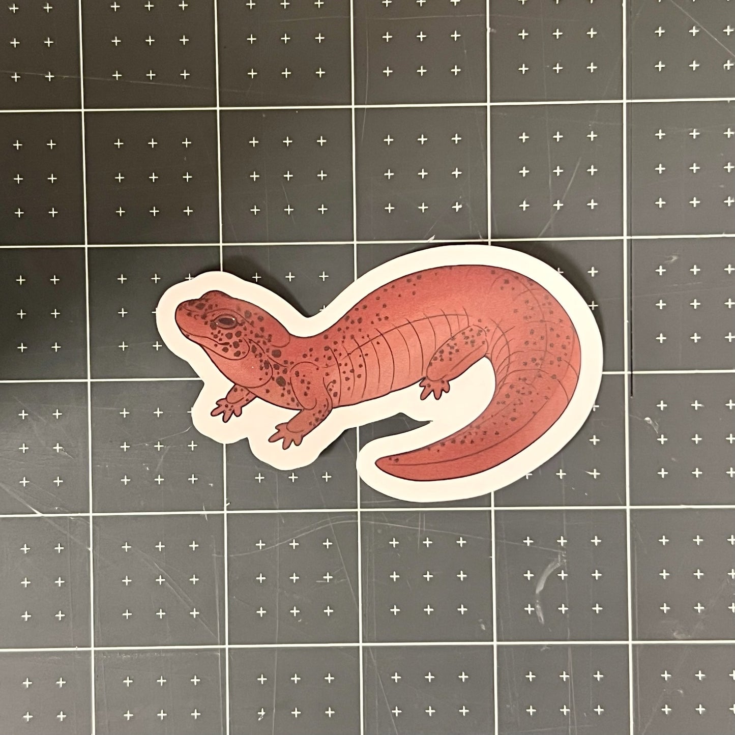 Red Salamander Glossy Sticker