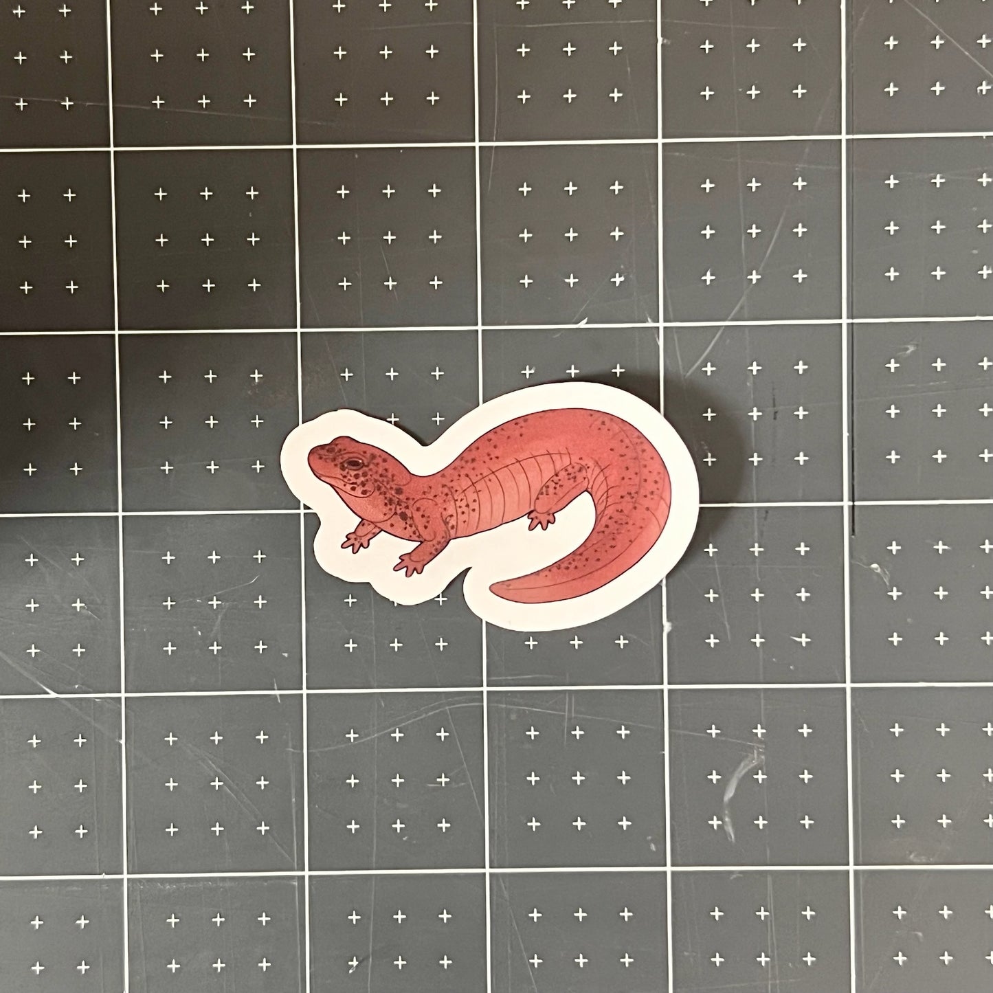 Red Salamander Glossy Sticker