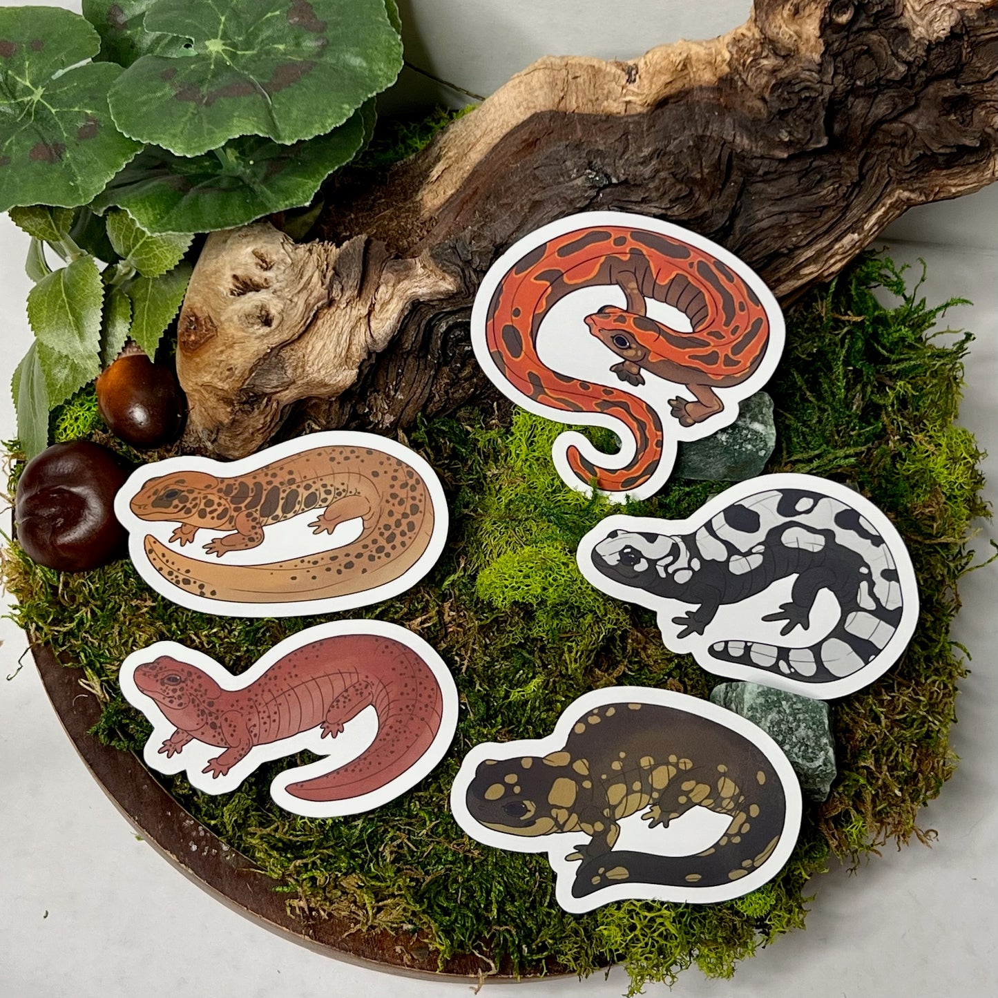 Northern Dusky Salamander Glossy Sticker