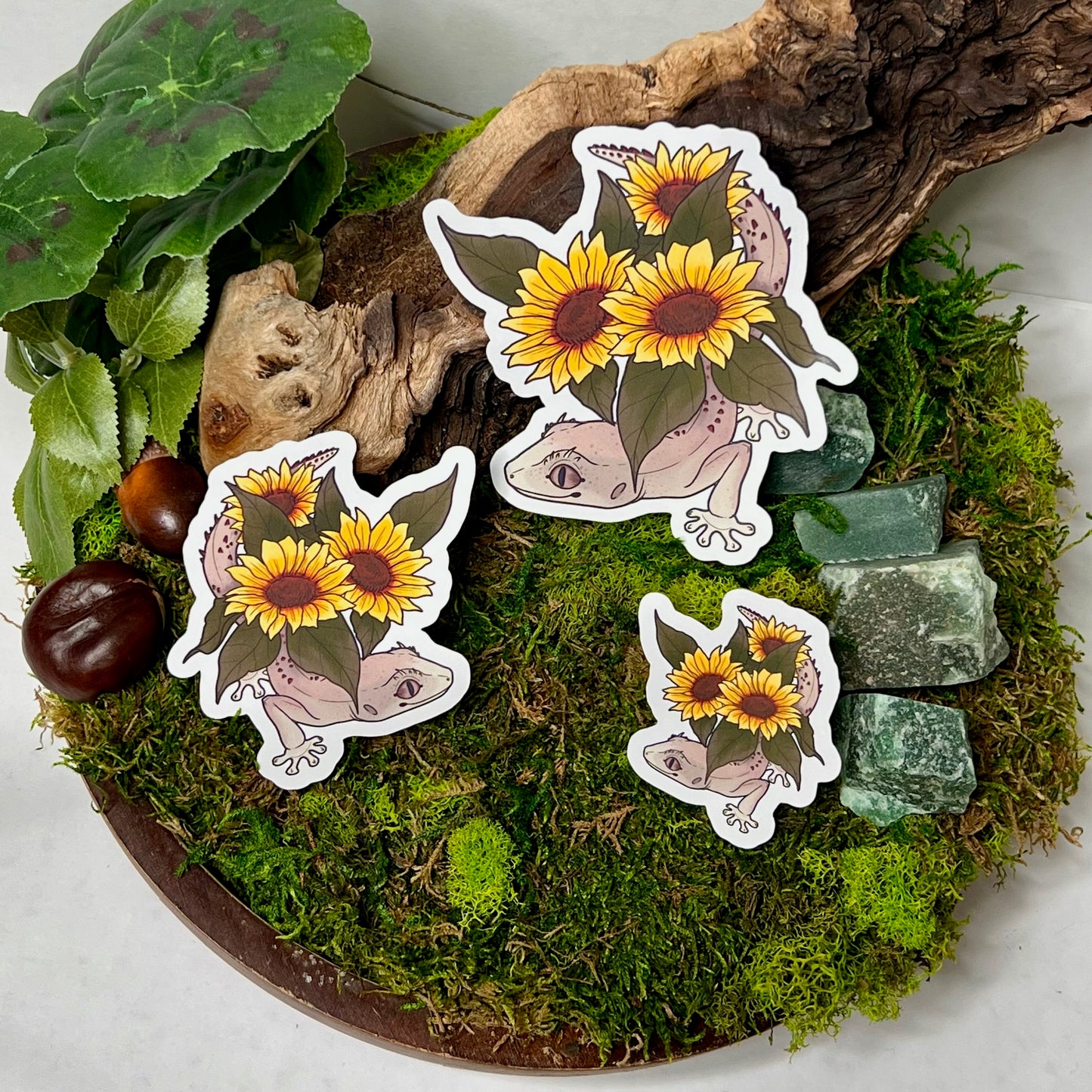 Western Shield Gecko Sunflowers Glossy Sticker