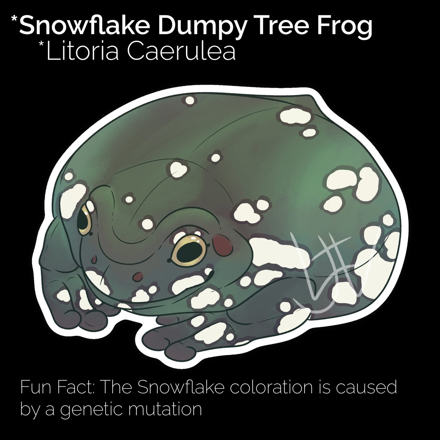 Snowflake Dumpy Tree Frog Glossy Sticker