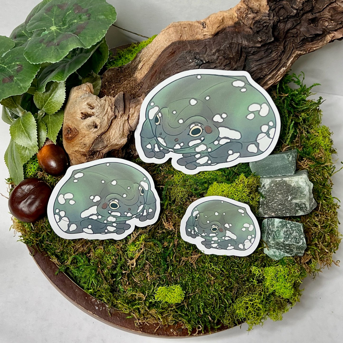 Snowflake Dumpy Tree Frog Glossy Sticker