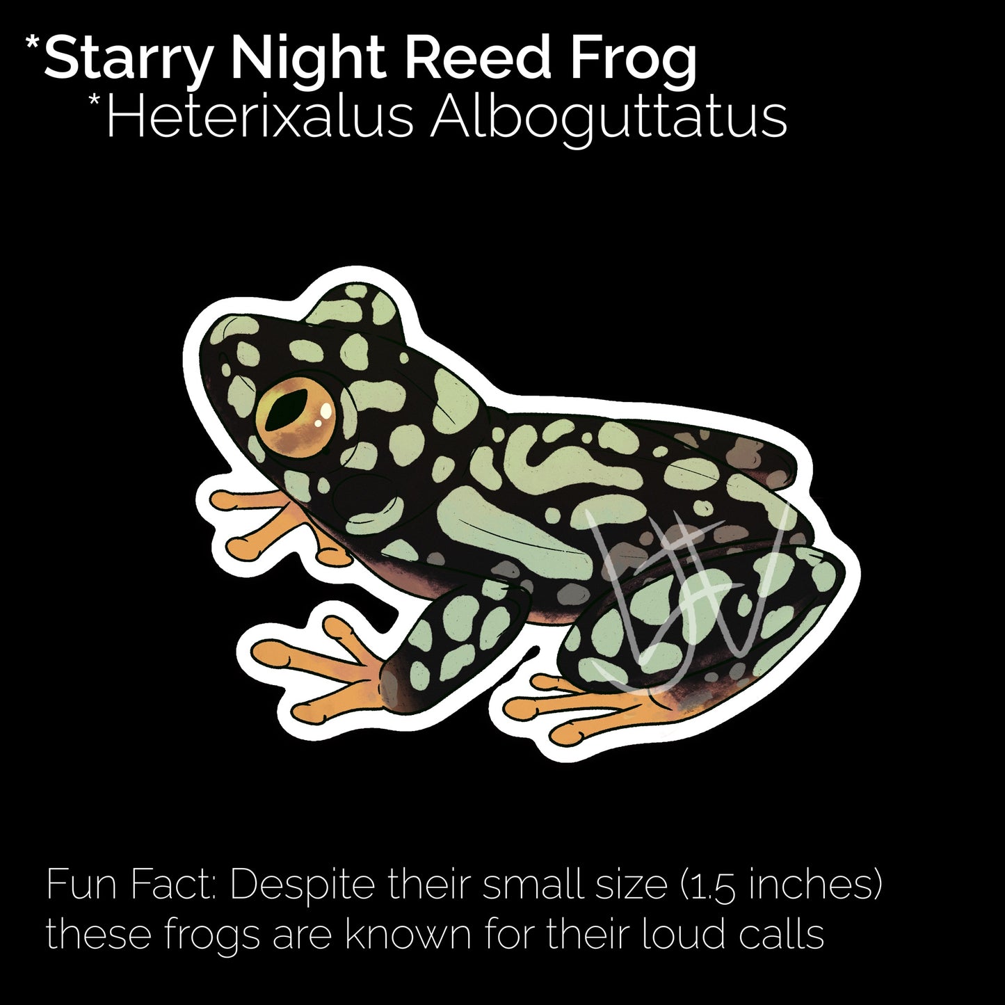 Starry Night Frog Glossy Sticker