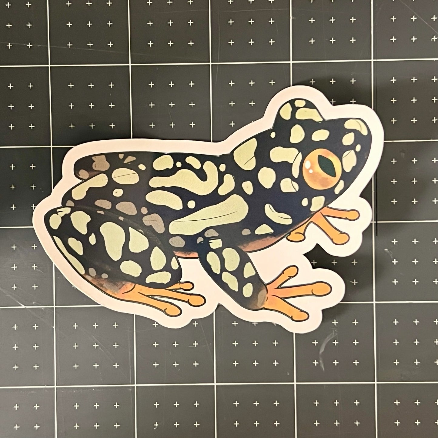 Starry Night Frog Glossy Sticker