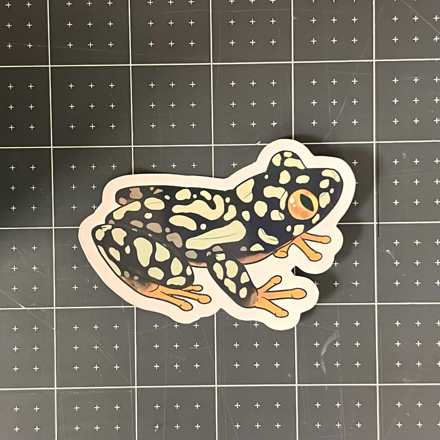 Starry Night Frog Glossy Sticker