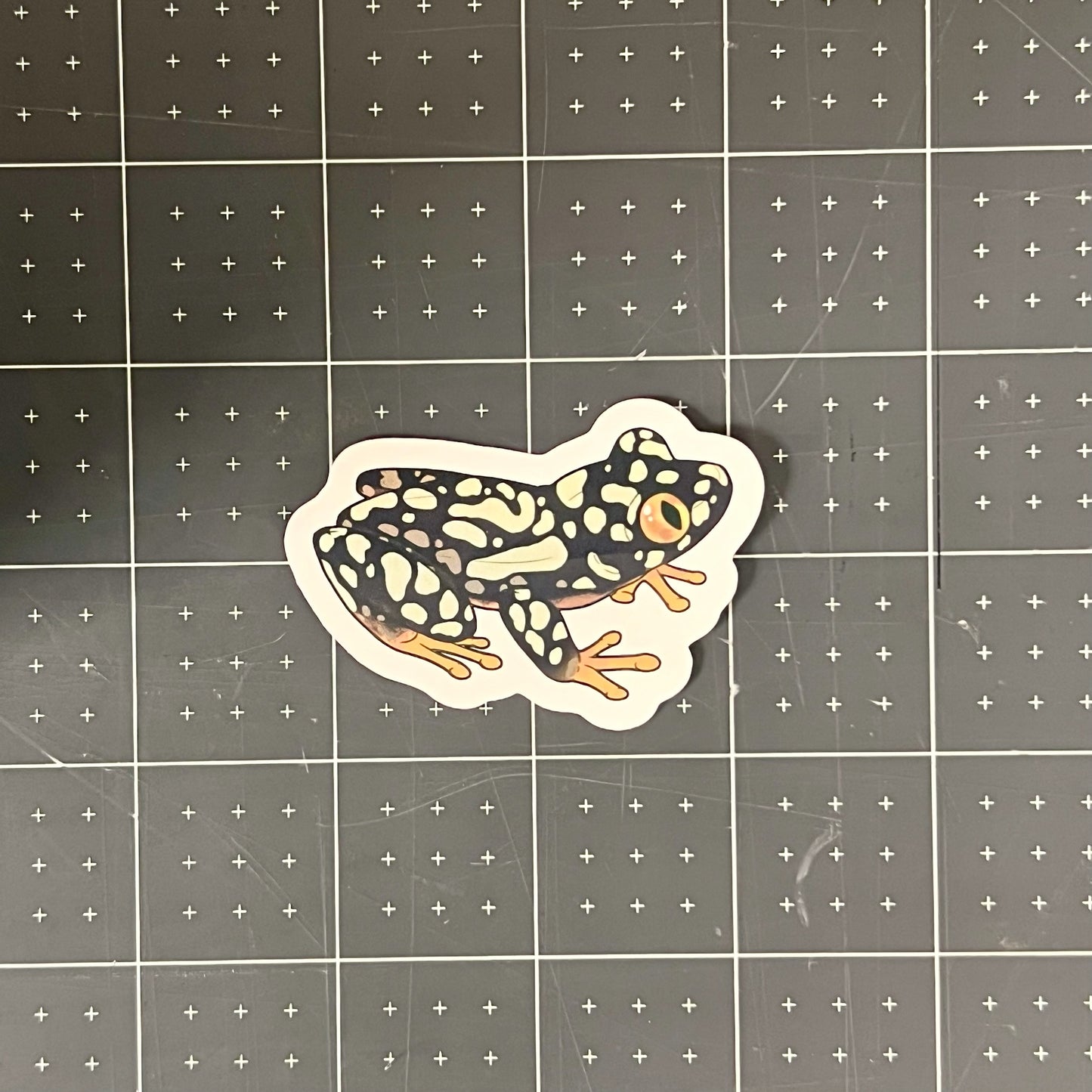 Starry Night Frog Glossy Sticker