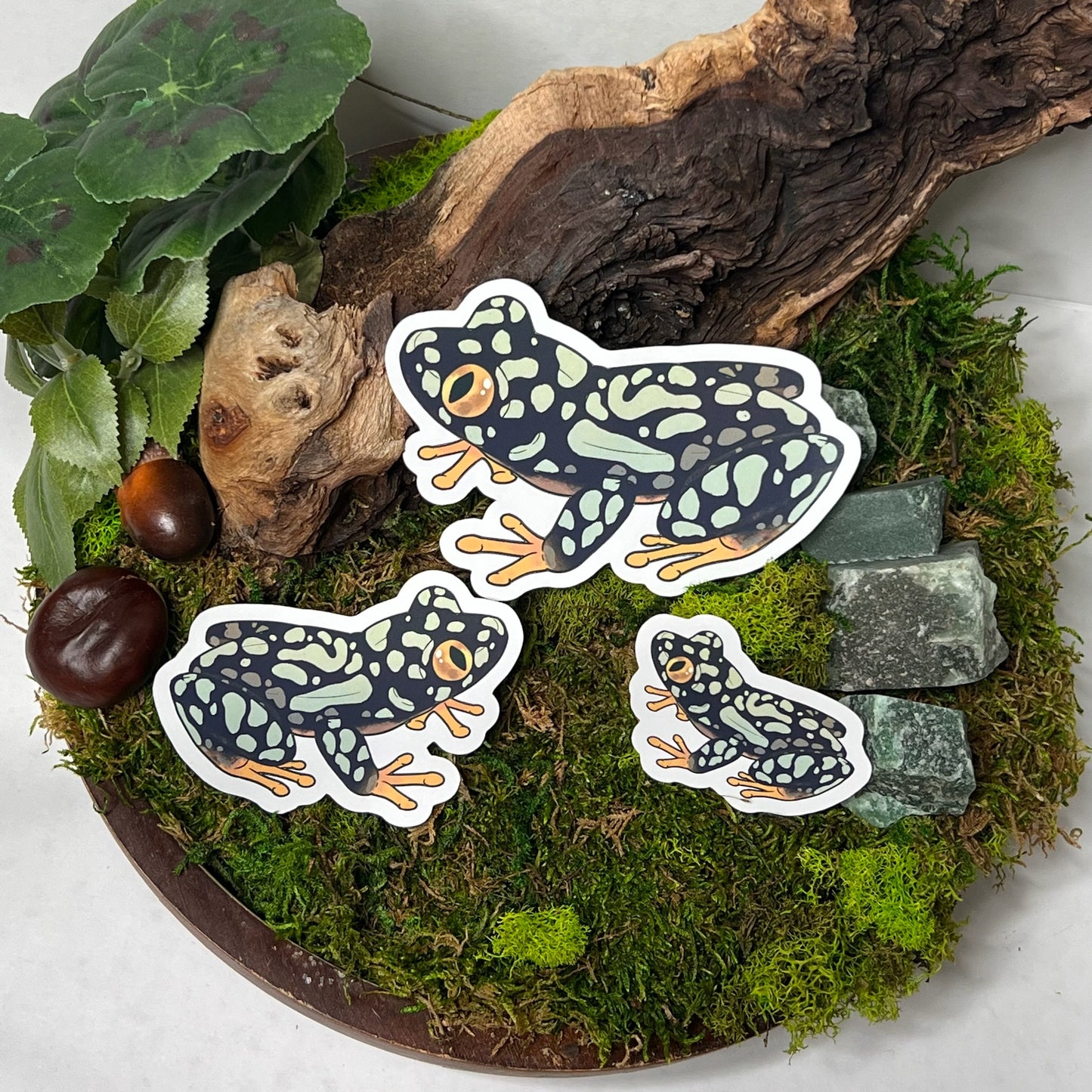 Starry Night Frog Glossy Sticker