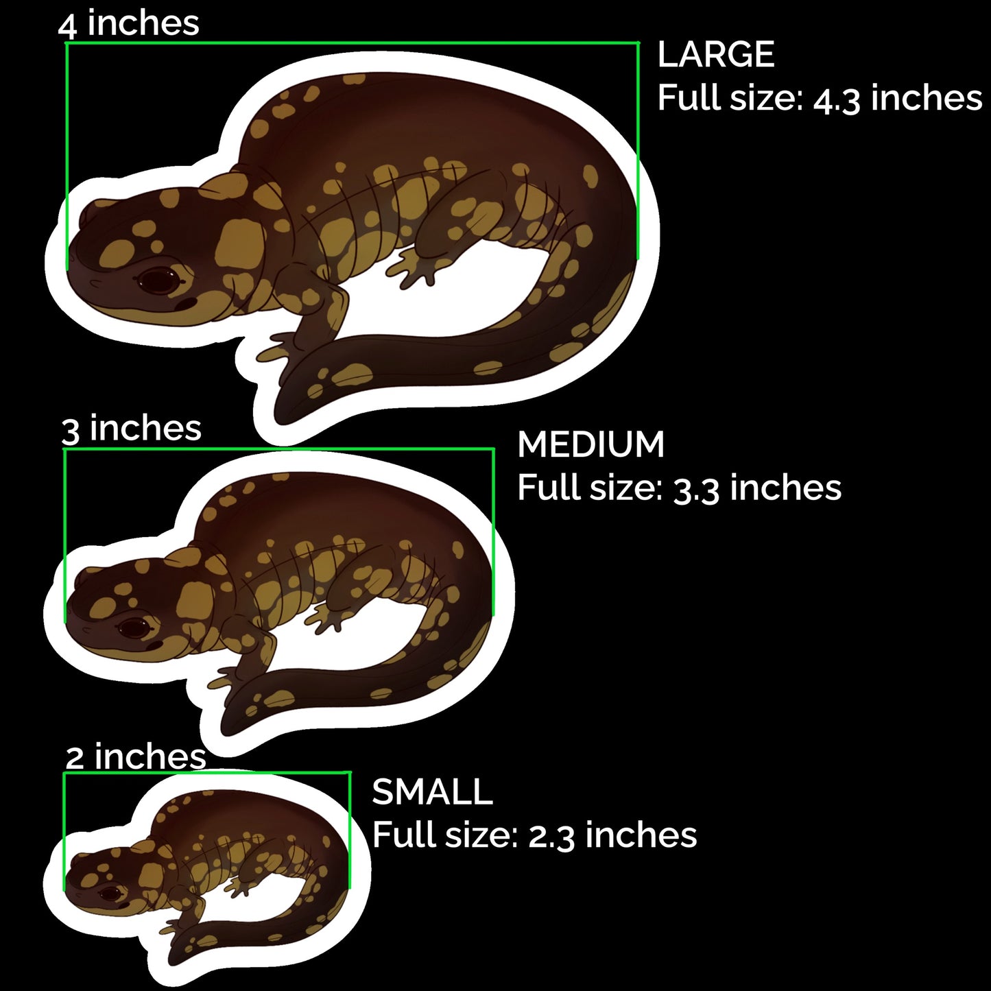 Eastern Tiger Salamander Glossy Sticker