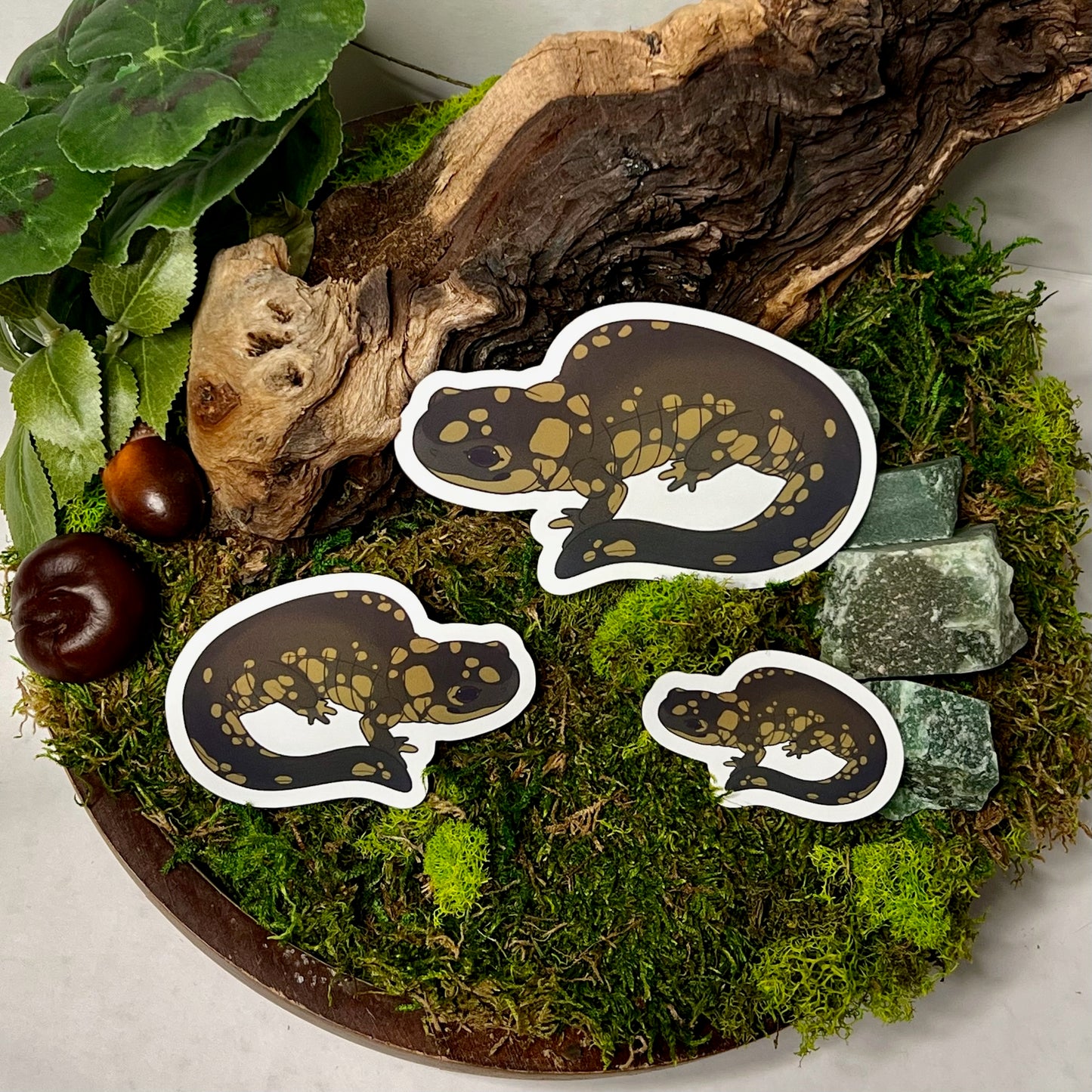 Eastern Tiger Salamander Glossy Sticker