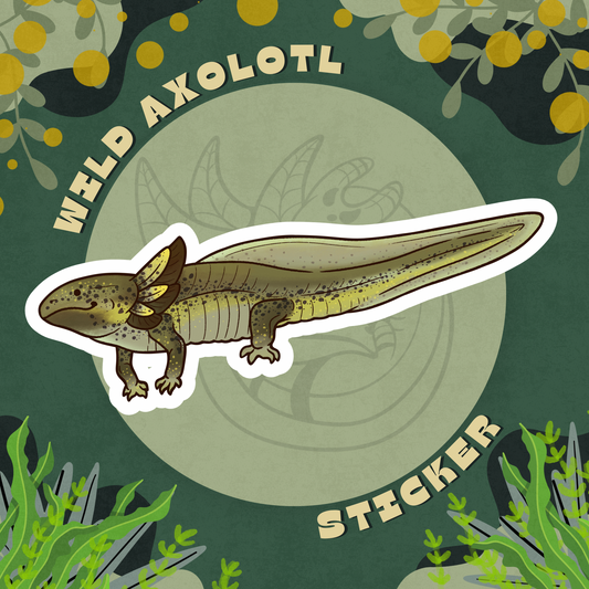 Green Wild Axolotl Glossy Sticker